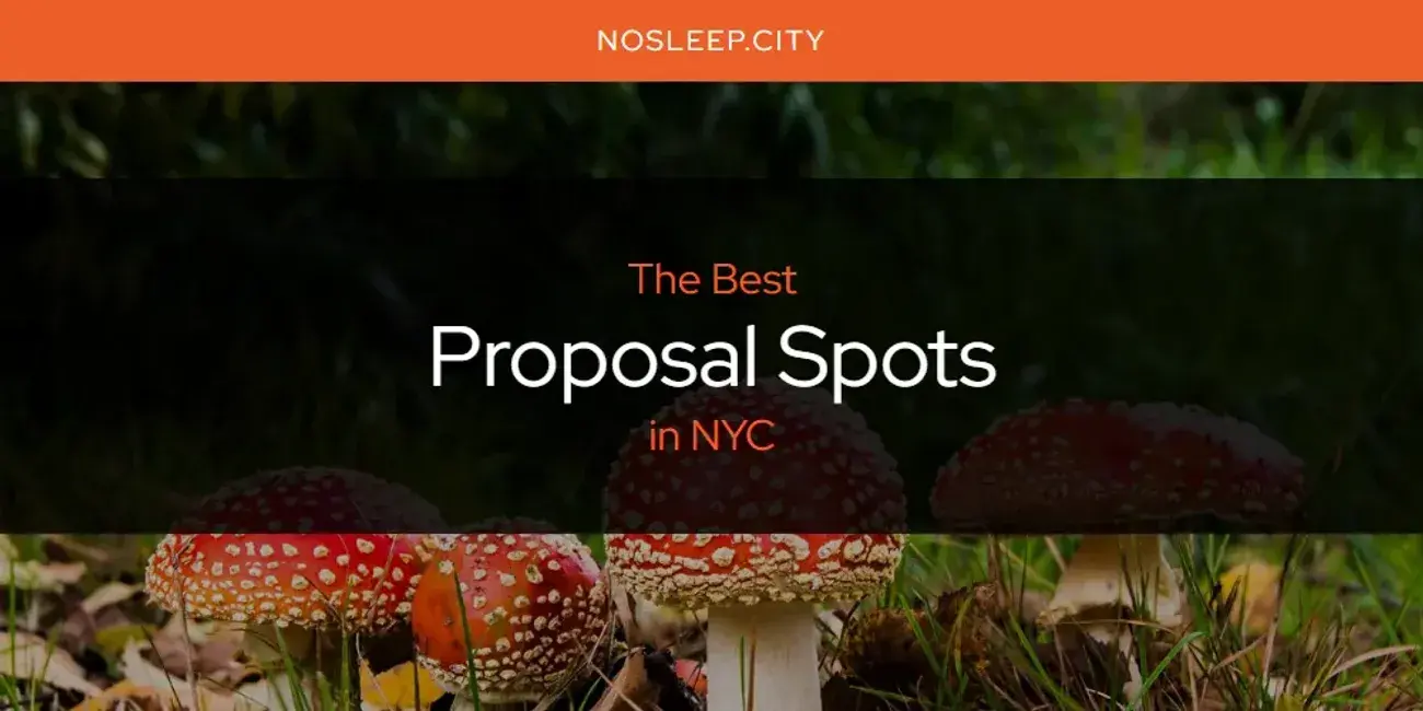 NYC's Best Proposal Spots [Updated 2024]