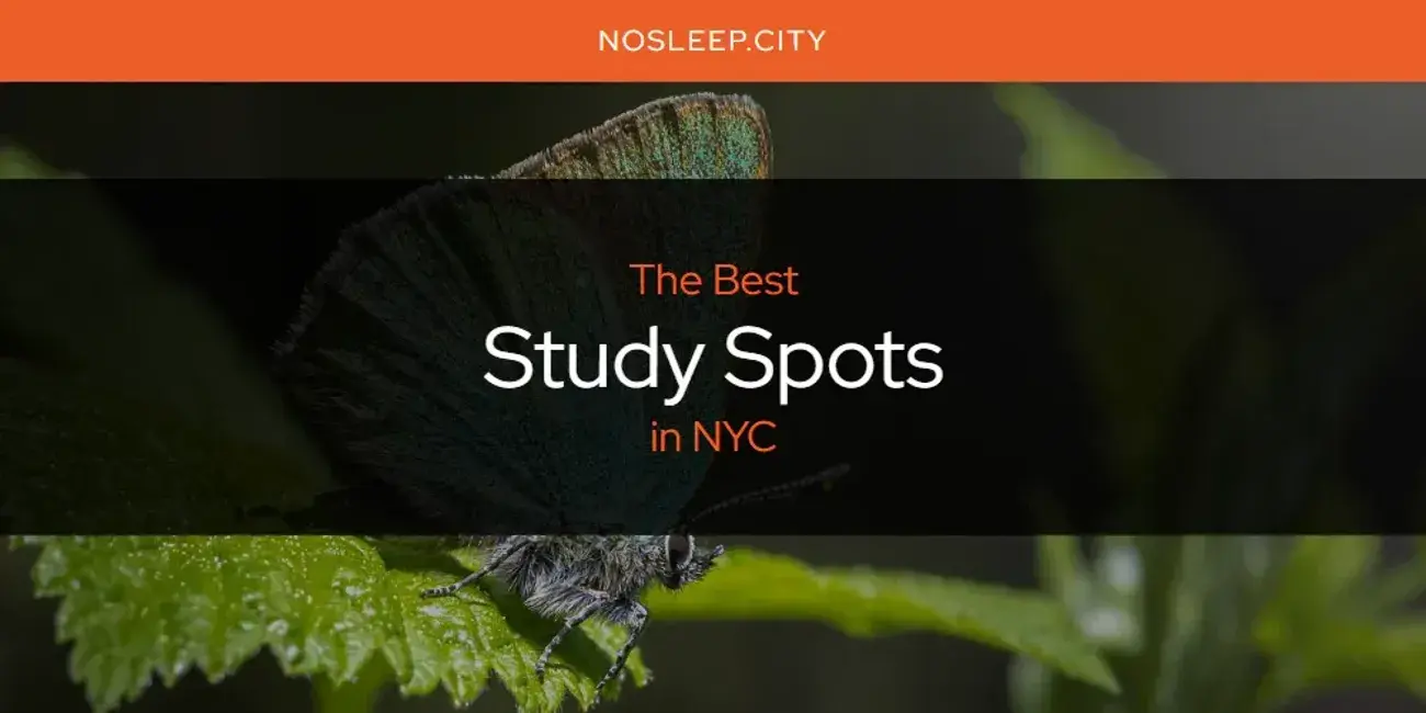 NYC's Best Study Spots [Updated 2024]