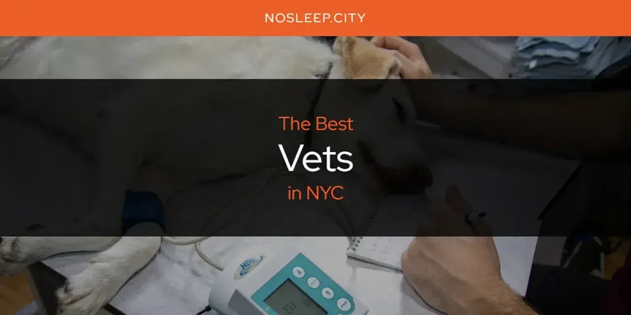 NYC's Best Vets [Updated 2024]