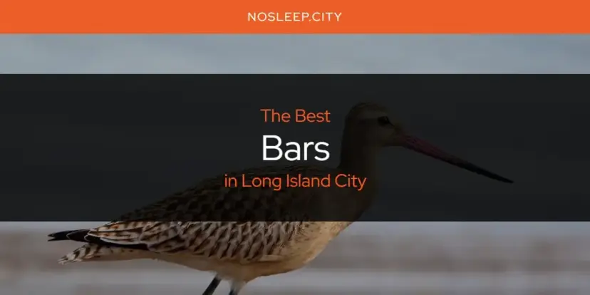 The Absolute Best Bars in Long Island City  [Updated 2024]