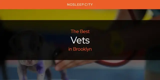 Brooklyn's Best Vets [Updated 2024]