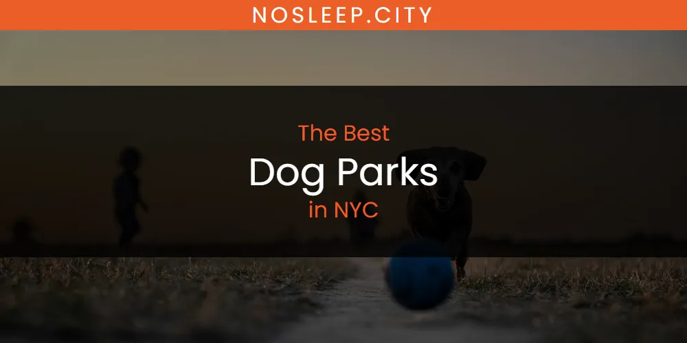 NYC's Best Dog Parks [Updated 2025]
