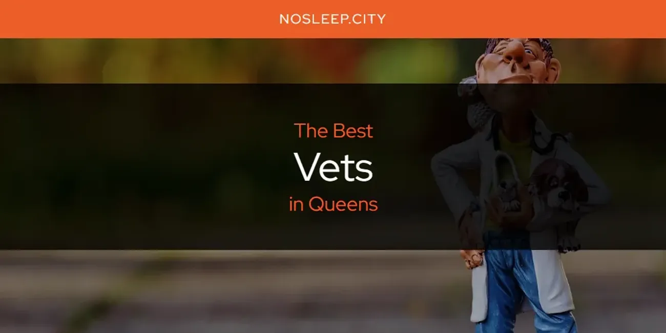 Queens' Best Vets [Updated 2025]